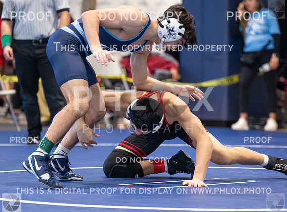 DLS_4400