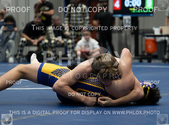 DLS_6271