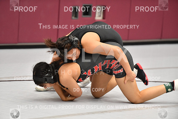 RAY_0096