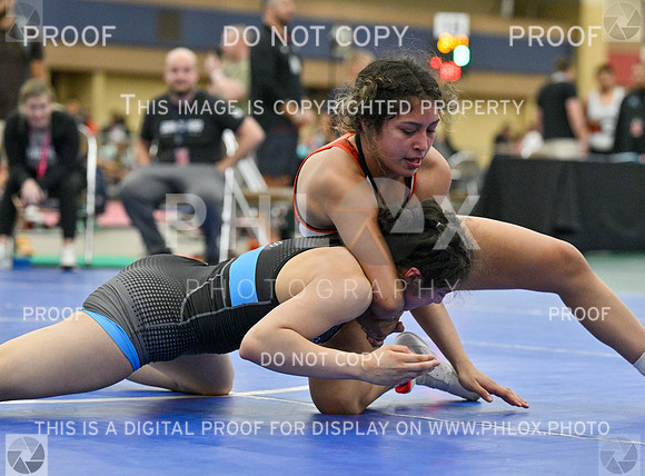 DLS_3411