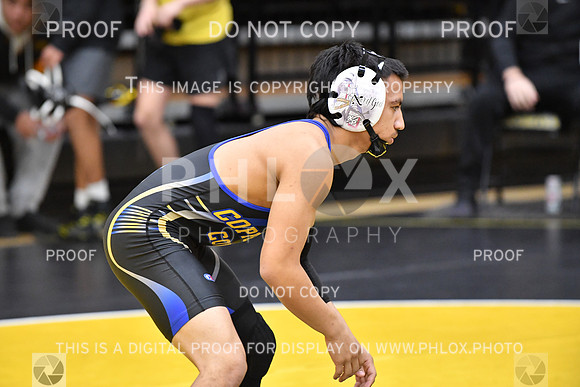 RAY_0023