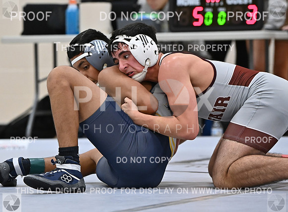 DLS_4182