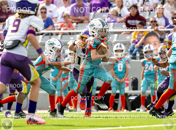 12pm Freshman -Vikings (V) vs Dolphins (H)-119