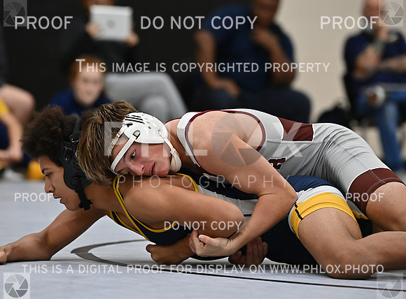 DLS_4248