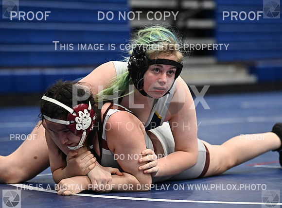 DLS_5094