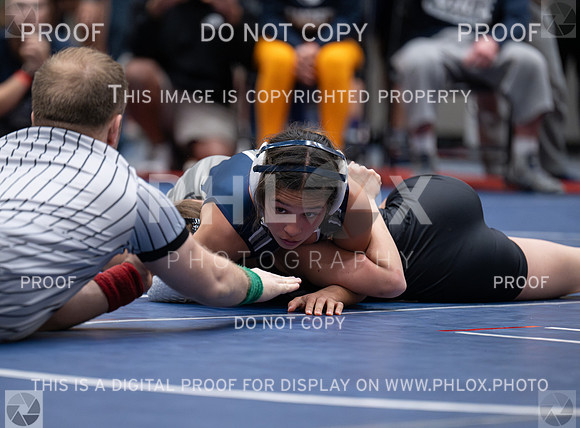 DLS_7013