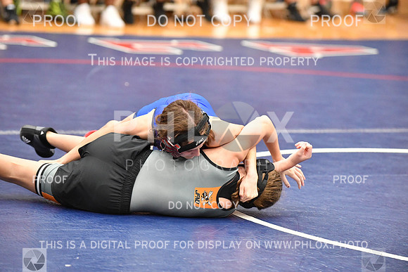 RAY_0046