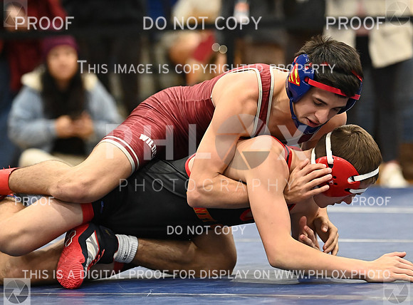 DLS_4175