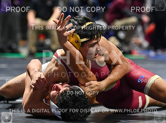 DLS_7017