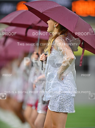 DLS_4975