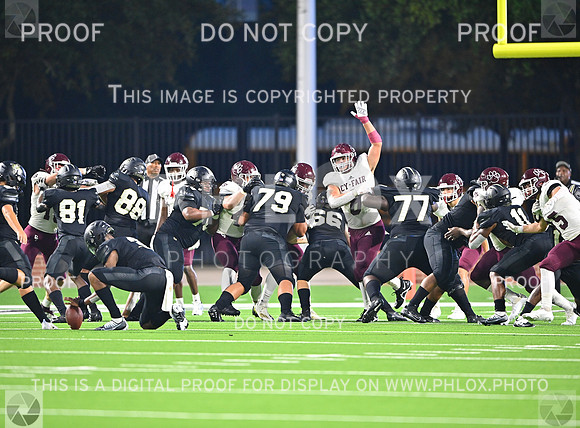DLS_5518