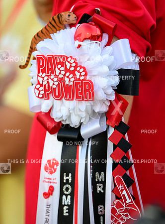 PSZ_191131