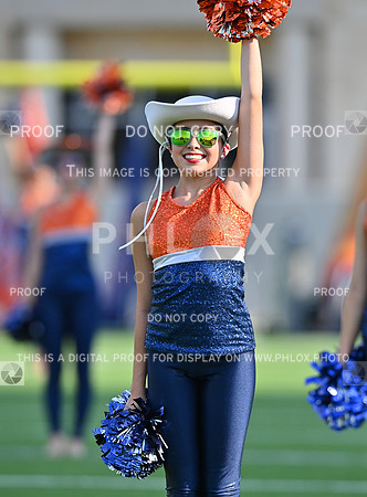 DLS_8302