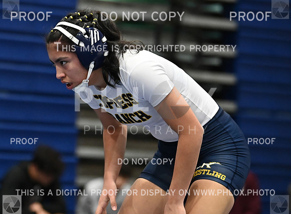 DLS_4984