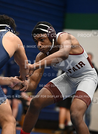 DLS_4304