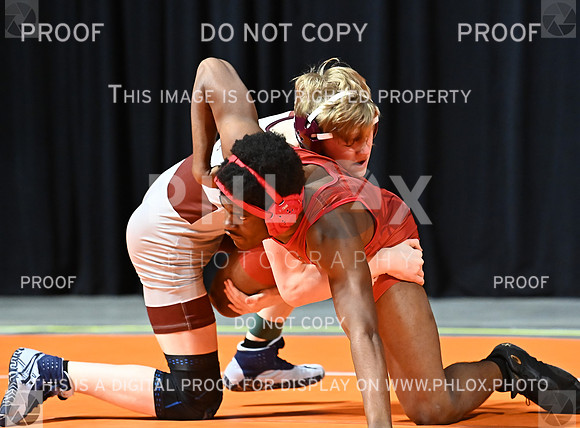 DLS_6848