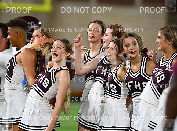 DLS_3553