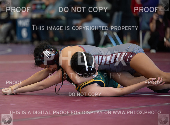 DLS_1961-Enhanced-NR
