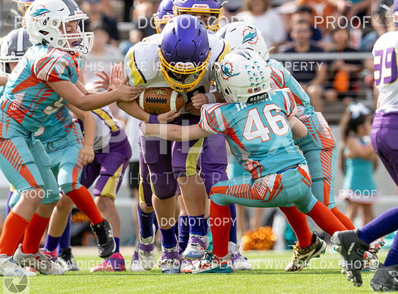 12pm Freshman -Vikings (V) vs Dolphins (H)-153