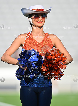 DLS_8315