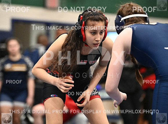 DLS_4487
