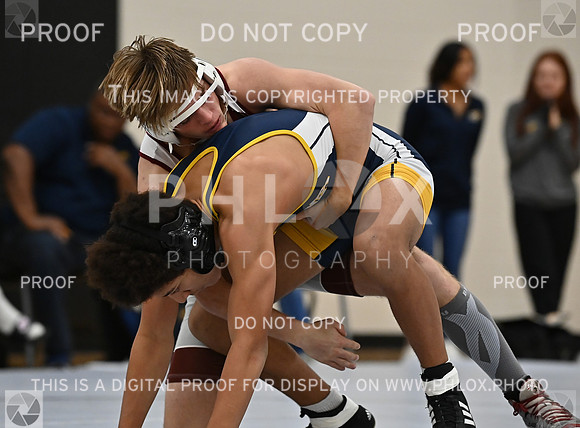DLS_4252