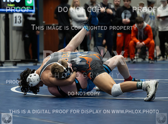 DLS_6297