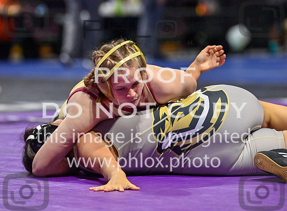 DLS_5946