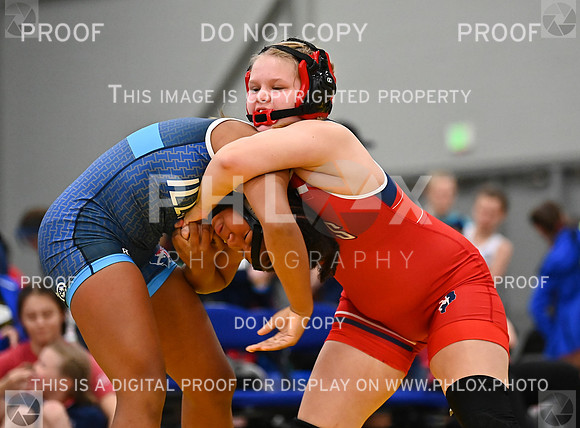DLS_7129