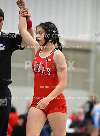 DLS_8199