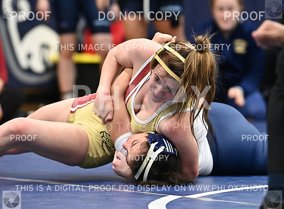 DLS_4466
