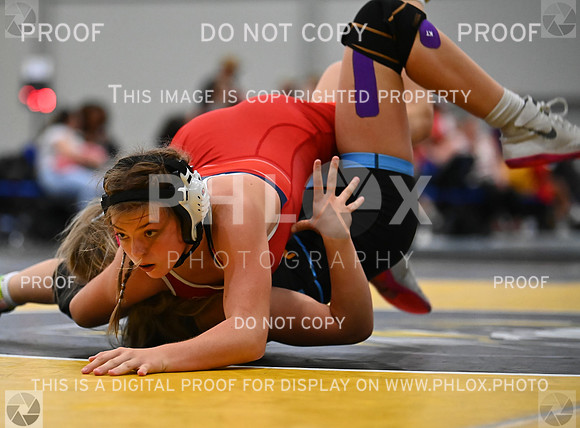 DLS_7641