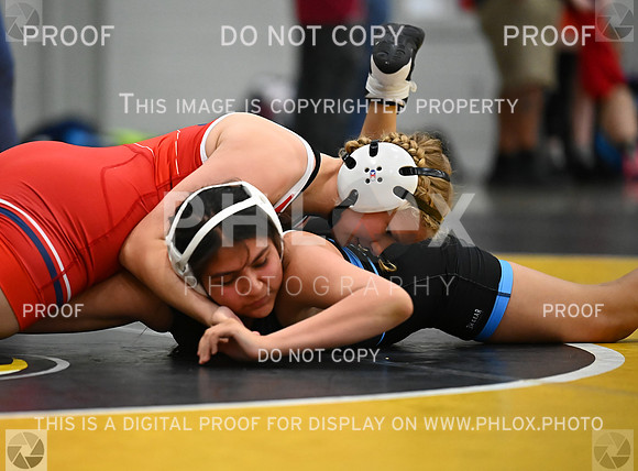 DLS_7956