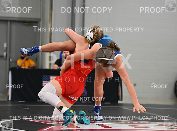 DLS_9019