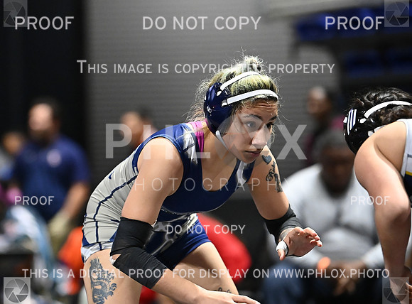 DLS_6094