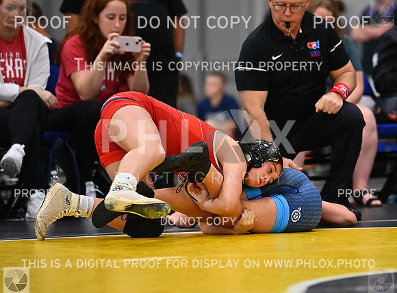 DLS_6951