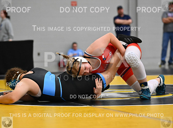 DLS_7676