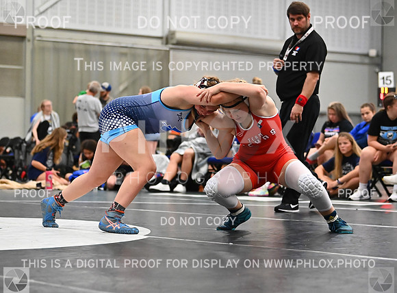 DLS_7986