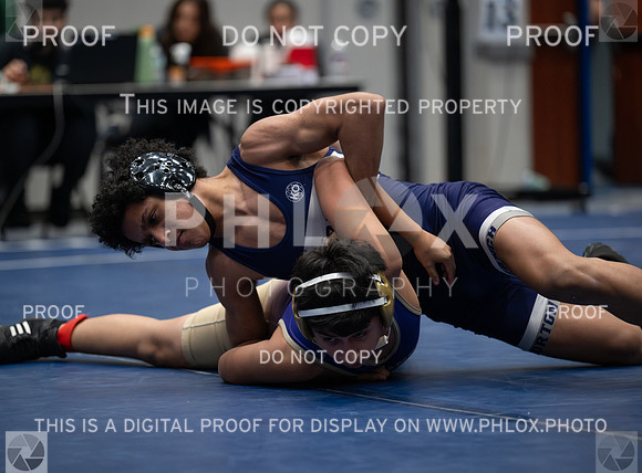 DLS_6534