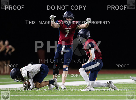 DLS_8978