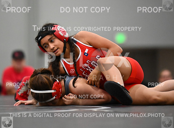 DLS_7574