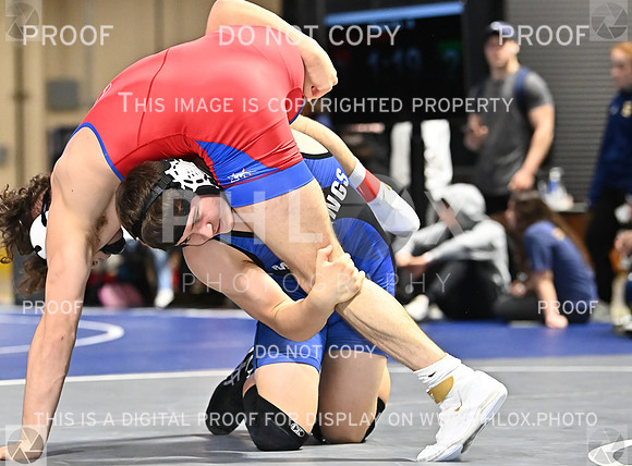 DLS_0396