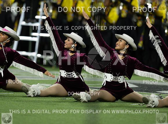 DLS_5232
