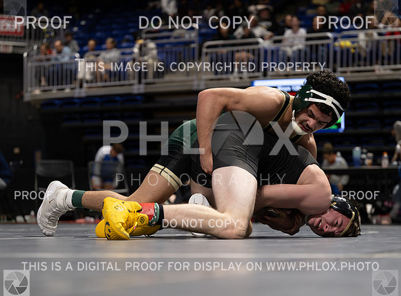 DLS_9094