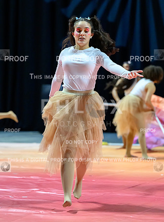 PSZ_184548