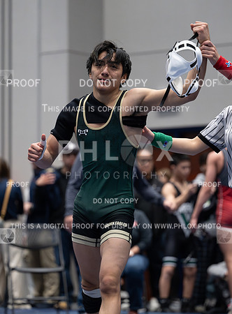 DLS_6648