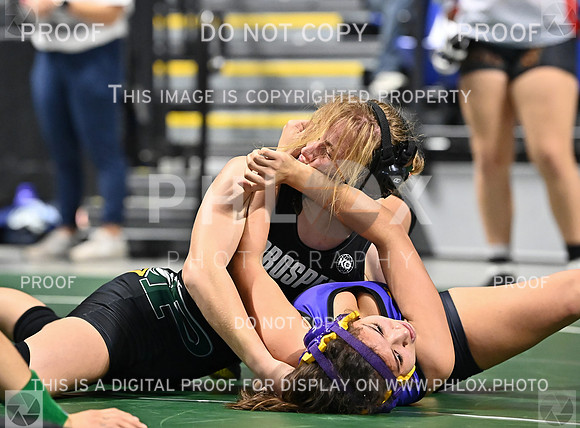 DLS_9793