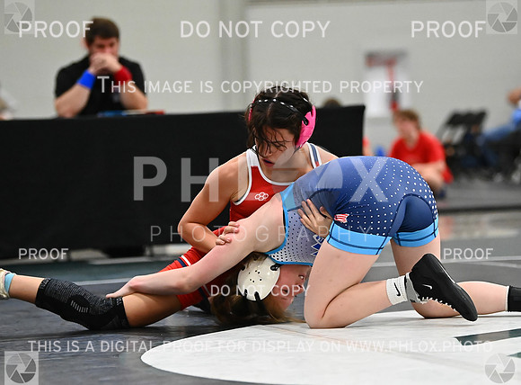 DLS_8085