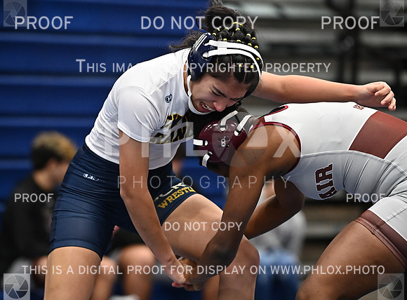 DLS_4971