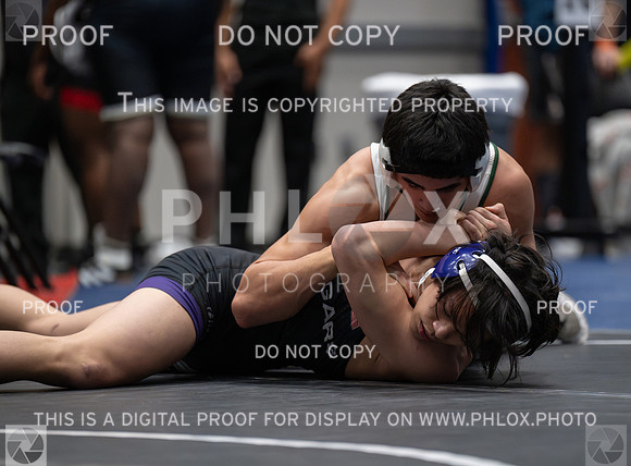 DLS_6538